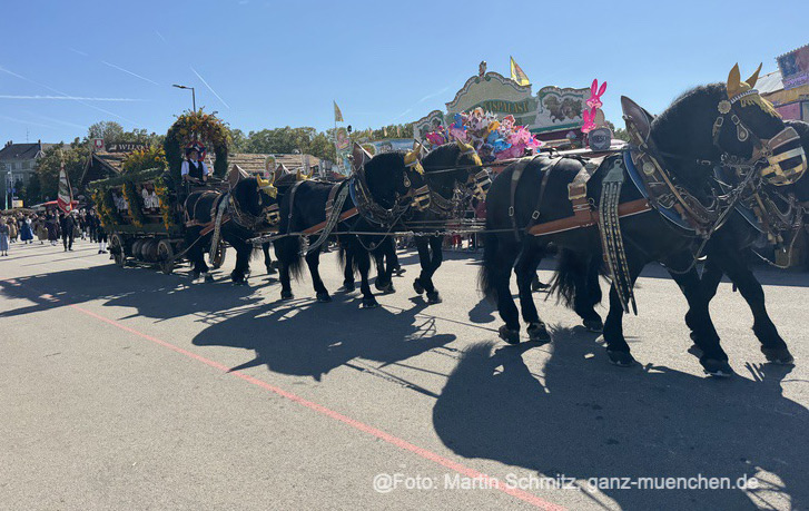 Brauereigespanne beim Trachten- und Schützenzug (©Foto: Martin Schmitz) 